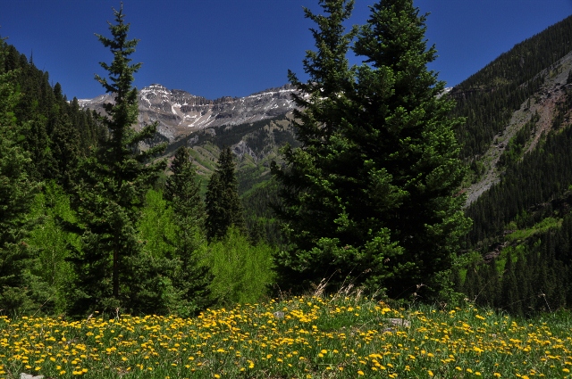 Bear Creek Waterfall Trail